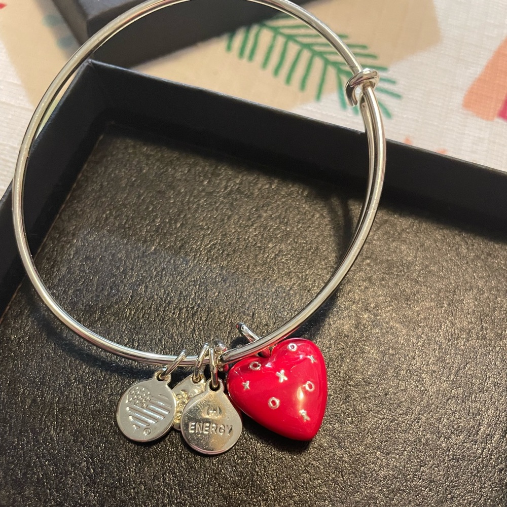 Alex and Ani XOXO heart charm bangle bracelet in silver